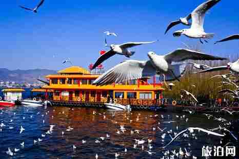 中國(guó)哪些城市最適合過(guò)冬 中國(guó)哪些城市最適合過(guò)冬