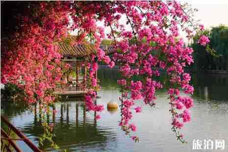 外國人144小時過境免簽城市有哪些 外國人144小時過境免簽城市有哪些