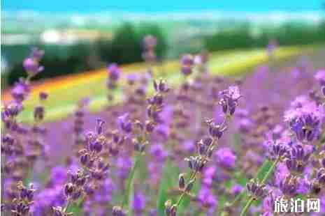 中端旅游國家國外推薦