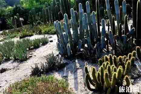 廈門旅游年卡2019年最新調整 景區更改信息匯總 廈門旅游年卡2019年最新調整 景區更改信息匯總