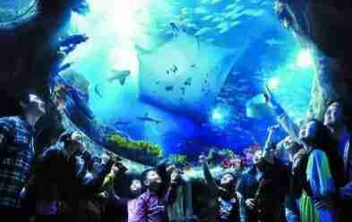 武汉直达香港只需4个半小时仅610元 武汉直达香港只需4个半小时仅610元