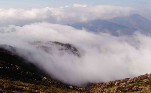 昆明轎子雪山怎么去 昆明轎子雪山怎么坐車 昆明轎子雪山怎么去 昆明轎子雪山怎么坐車