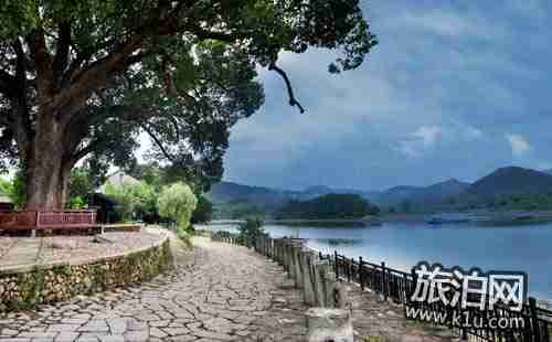 丽水怎么去古堰画乡 古堰画乡在哪里 丽水怎么去古堰画乡 古堰画乡在哪里
