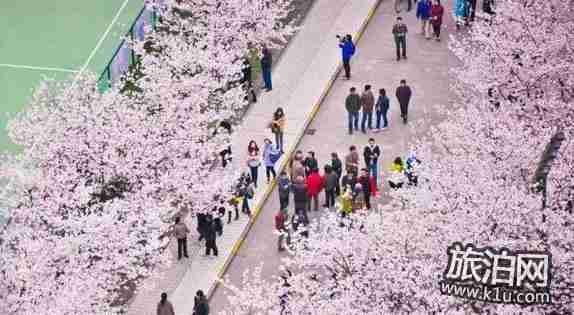 2018年武漢看花的地方有哪些 武漢周邊賞花地點(diǎn)推薦