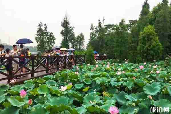 2020海珠湖公园预约方式 海珠湖公园开放时间