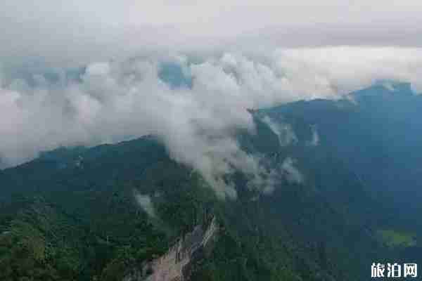 重庆夏天去哪里避暑最好 重庆夏天旅游攻略 重庆夏天去哪里避暑最好 重庆夏天旅游攻略