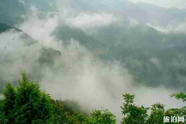 重庆夏天去哪里避暑最好 重庆夏天旅游攻略
