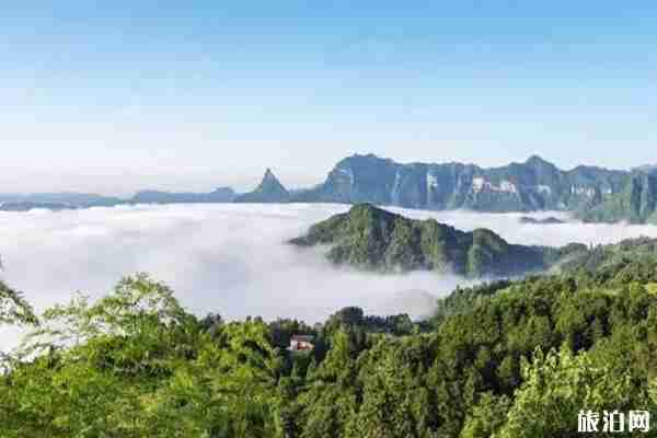 重庆夏天去哪里避暑最好 重庆夏天旅游攻略 重庆夏天去哪里避暑最好 重庆夏天旅游攻略