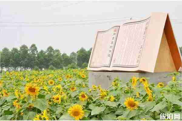 成都周边向日葵景点推荐