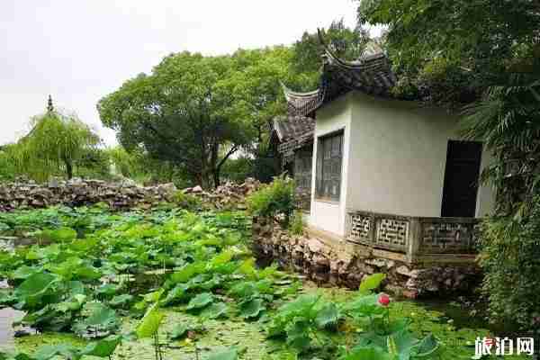 上海周边赏荷花的地方推荐 上海周边赏荷花的地方推荐