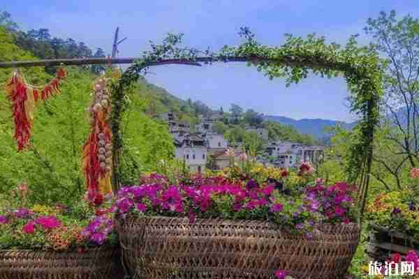 夏季上海周边赏花的地方推荐 上海周边六月旅游好去处