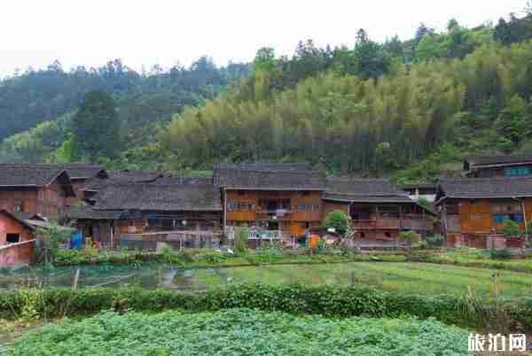 贵州旅游线路最佳方案自驾游 贵州旅游景点推荐路线整理