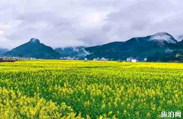 贵州旅游线路最佳方案自驾游 贵州旅游景点推荐路线整理