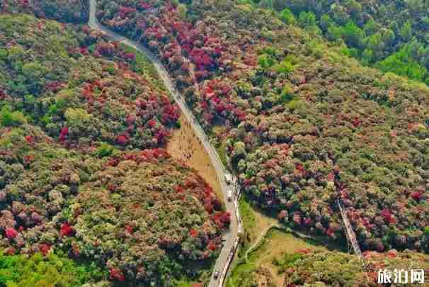 贵州旅游线路最佳方案自驾游 贵州旅游景点推荐路线整理