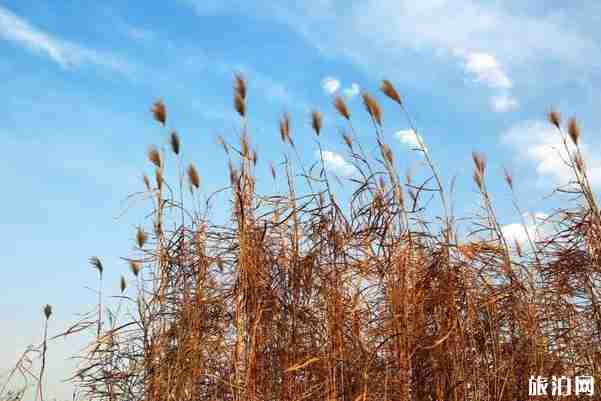 贵州旅游线路最佳方案自驾游 贵州旅游景点推荐路线整理