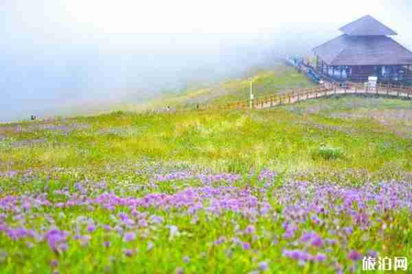贵州旅游线路最佳方案自驾游 贵州旅游景点推荐路线整理