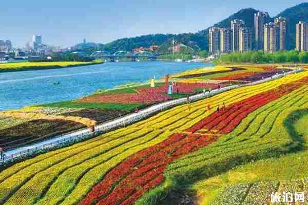 夏季杭州哪里好玩 夏季杭州赏花攻略