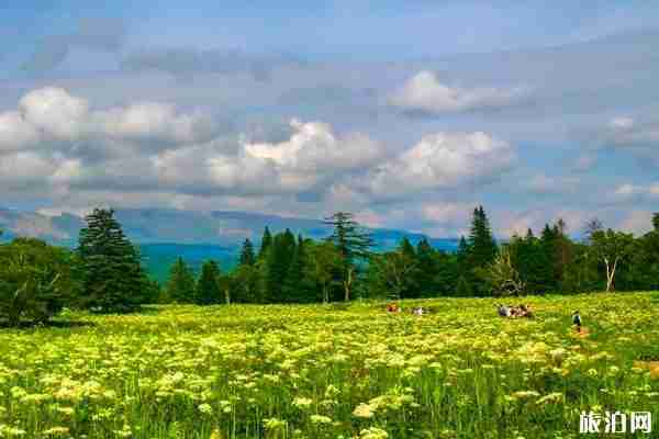 2020年五月吉林白山賞花攻略 2020年五月吉林白山賞花攻略