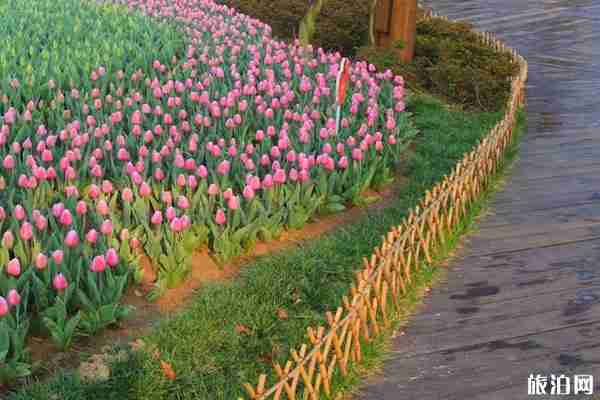 日照植物園收費嗎 景點介紹