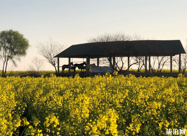 2020蘇州太湖花海度假樂園優惠門票及游玩項目