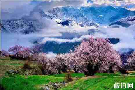 川藏线旅游路线赏花路线推荐 川藏线旅游路线赏花路线推荐