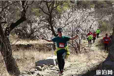 2019淮北黄里杏花节越野跑信息 2019淮北黄里杏花节越野跑信息