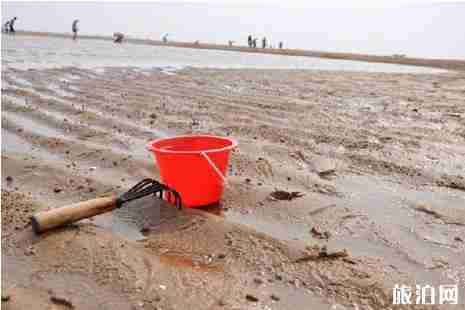 青岛赶海的好地方推荐