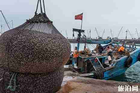 青岛赶海的好地方推荐