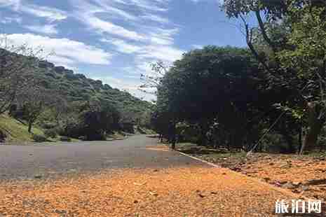 宁波绿野山居攻略