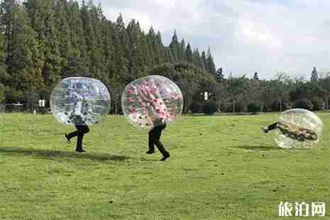 宁波绿野山居攻略