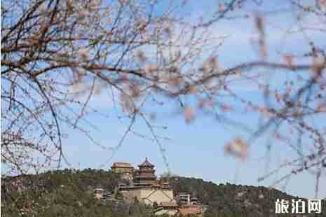 2019颐和园桃花什么时候开 颐和园桃花观赏攻略 2019颐和园桃花什么时候开 颐和园桃花观赏攻略