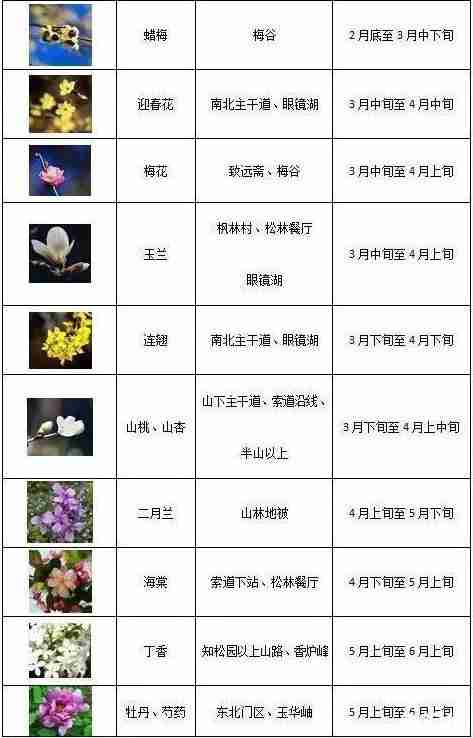 2019北京香山公园赏花攻略