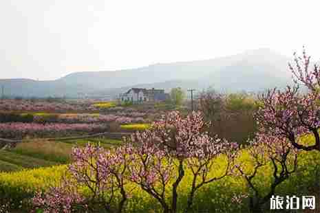2019安徽马鞍山大青山桃花节3月18日开启