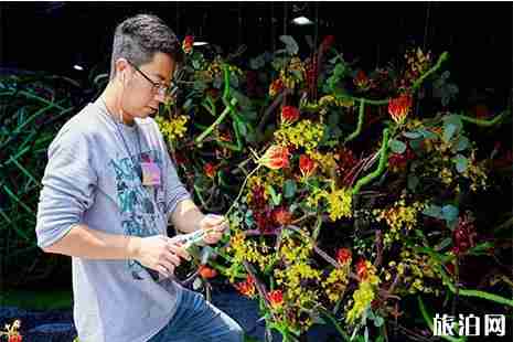 2019香港花卉展覽 時間+門票+購票方式 2019香港花卉展覽 時間+門票+購票方式