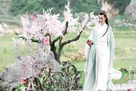 寧波哪里看桃花 寧波哪里看桃花