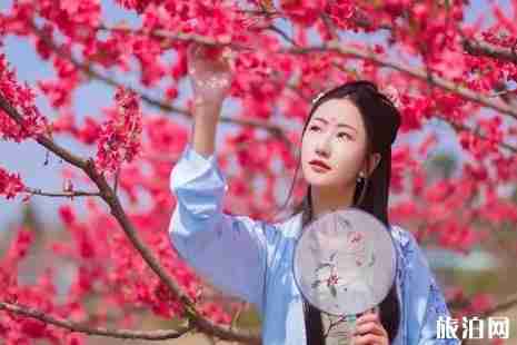 2019成都龍泉驛桃花節(jié)時(shí)間+地點(diǎn)+活動(dòng)攻略