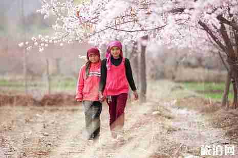 2019帕米爾杏花溝最佳時(shí)間+交通+游玩攻略 2019帕米爾杏花溝最佳時(shí)間+交通+游玩攻略