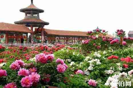 2019菏澤牡丹節交通管制信息+交通攻略+停車收費標準 2019菏澤牡丹節交通管制信息+交通攻略+停車收費標準