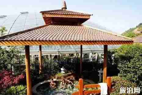 2019蘇州樂園四季恒溫水樂園花漾家年華游玩攻略