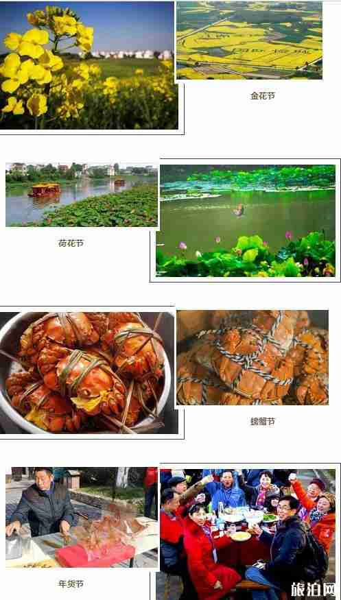 2019高淳金花節3月23日開啟 附活動事項