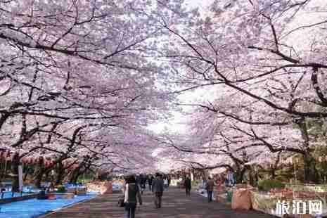 日本東京住哪里最方便+怎么選酒店