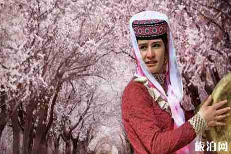 新疆杏花哪里最好看+花期+交通 新疆杏花哪里最好看+花期+交通