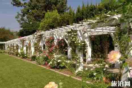 2019洛杉磯櫻花觀賞攻略 2019洛杉磯櫻花觀賞攻略