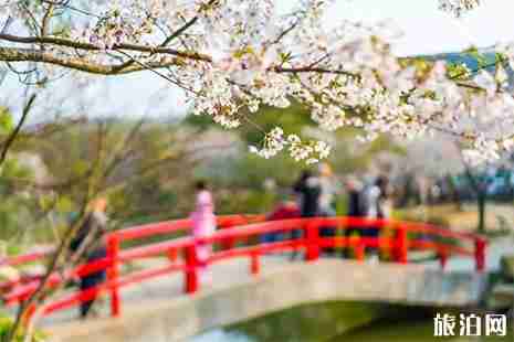 鼋头渚有什么好玩的 鼋头渚游玩攻略 鼋头渚有什么好玩的 鼋头渚游玩攻略