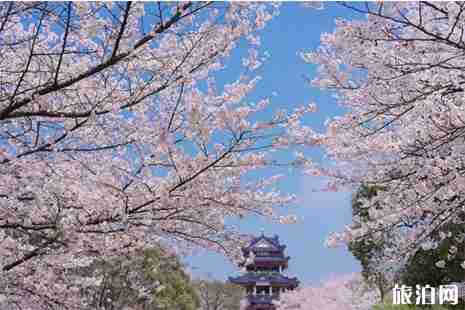 鼋头渚有什么好玩的 鼋头渚游玩攻略 鼋头渚有什么好玩的 鼋头渚游玩攻略