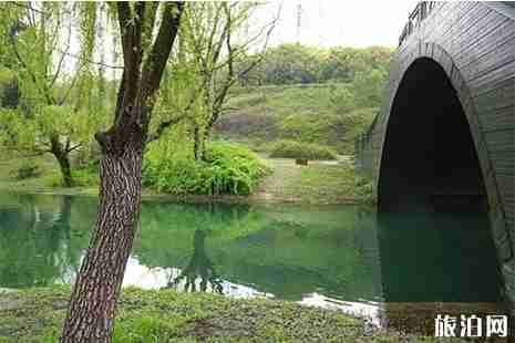 2019孟津黄河小浪底樱花节 门票+赏花攻略 2019孟津黄河小浪底樱花节 门票+赏花攻略