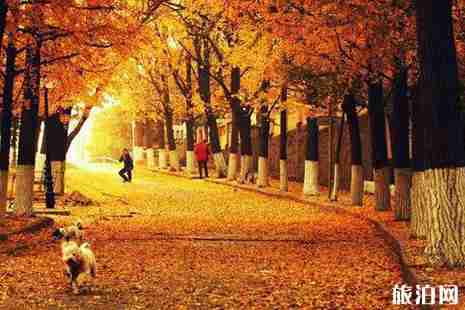 2019五一放假几天 五一去哪玩最好 2019五一放假几天 五一去哪玩最好