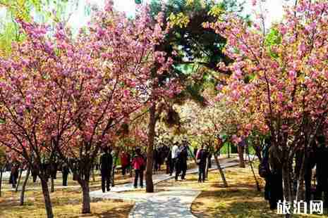 2019五一放假几天 五一去哪玩最好 2019五一放假几天 五一去哪玩最好