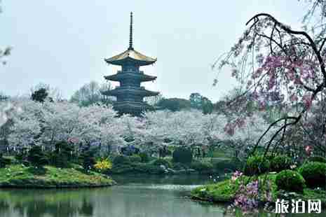 2019武大两周周末以及清明节期间临时交通管制 2019武大两周周末以及清明节期间临时交通管制