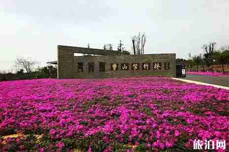 常州户外露营野炊地点推荐